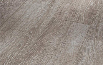 Ламинат Parador Basic Plus 600 XS 1593842 Дуб Светло-серый фото 1 | FLOORDEALER